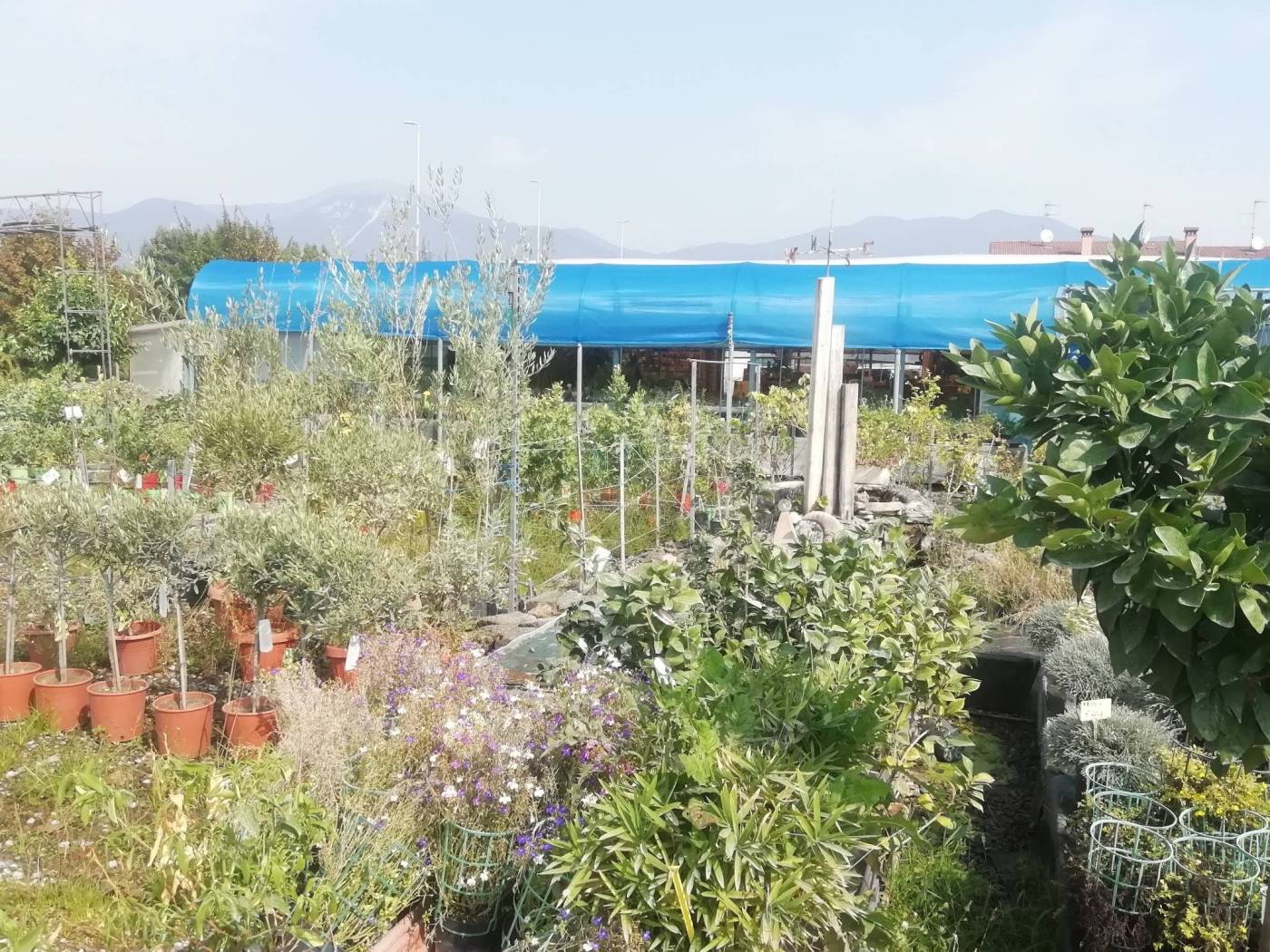 Terreno