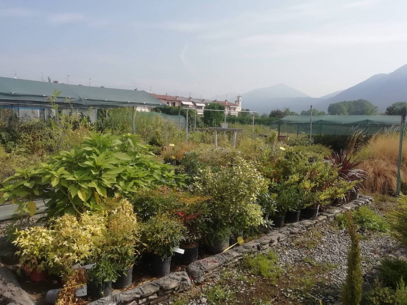 Terreno