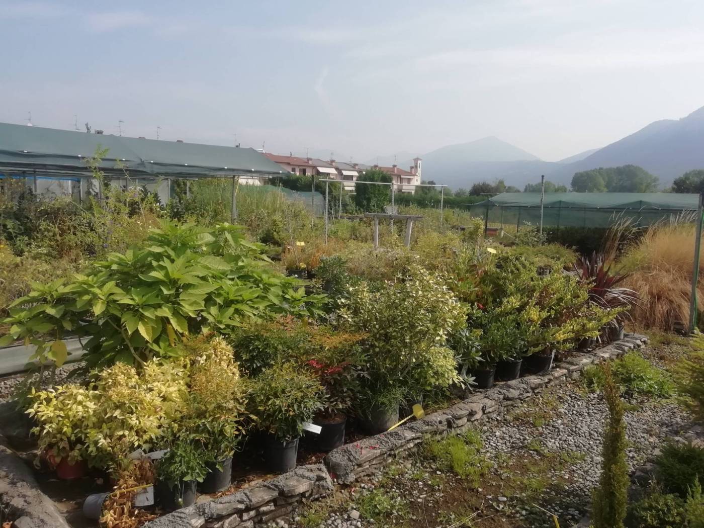 Terreno