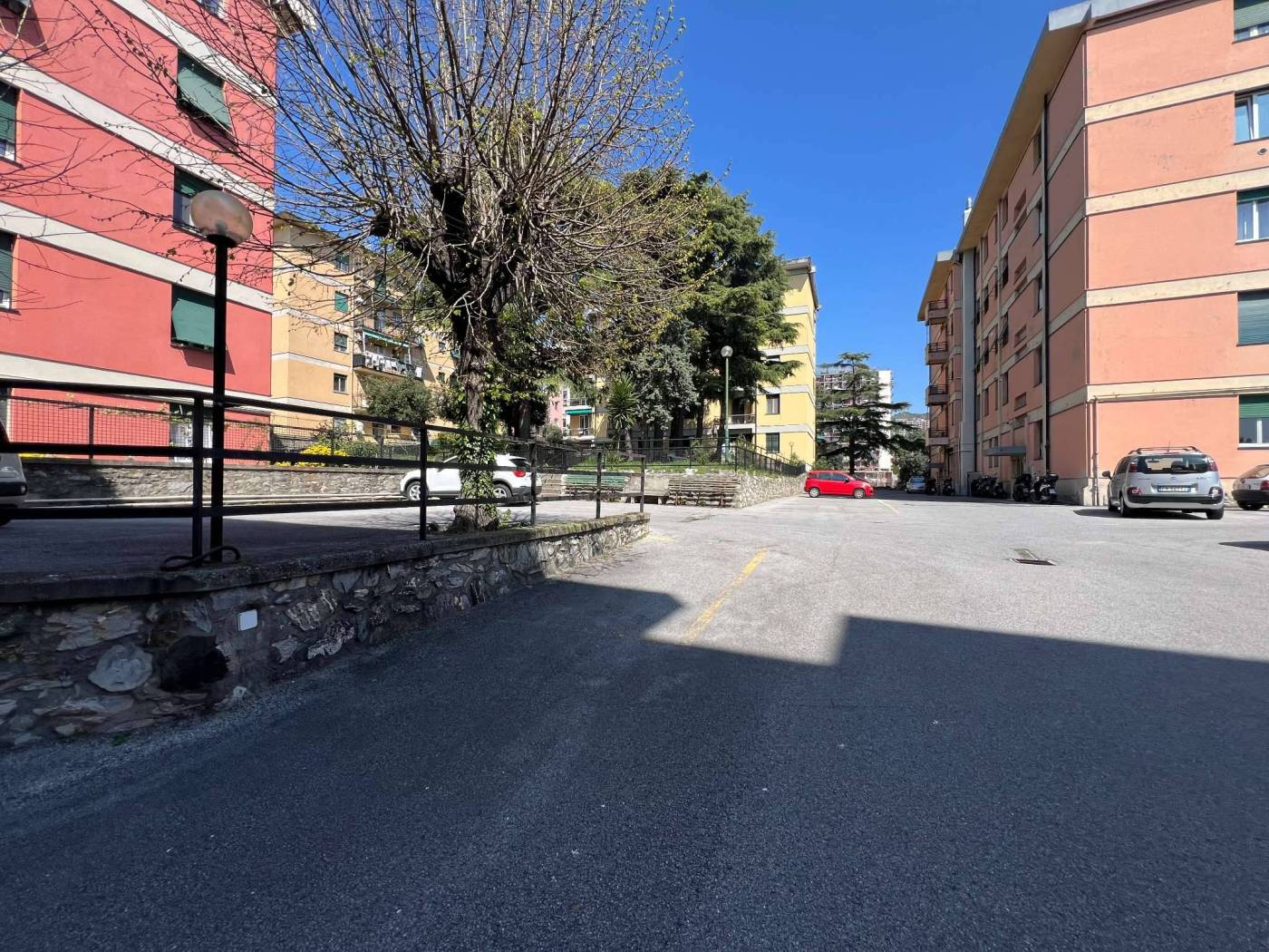 Zona