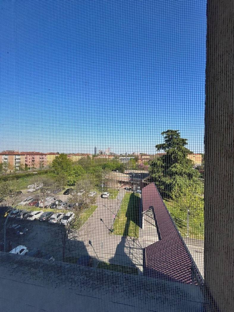 Vista