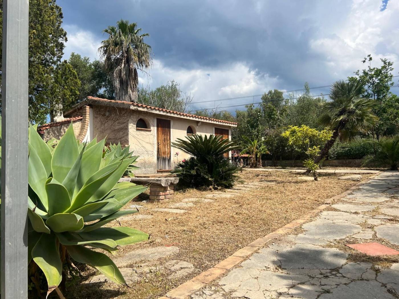 Giardino