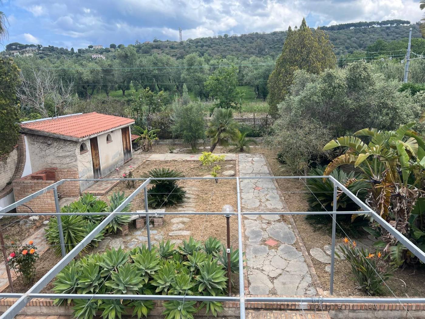 Terreno