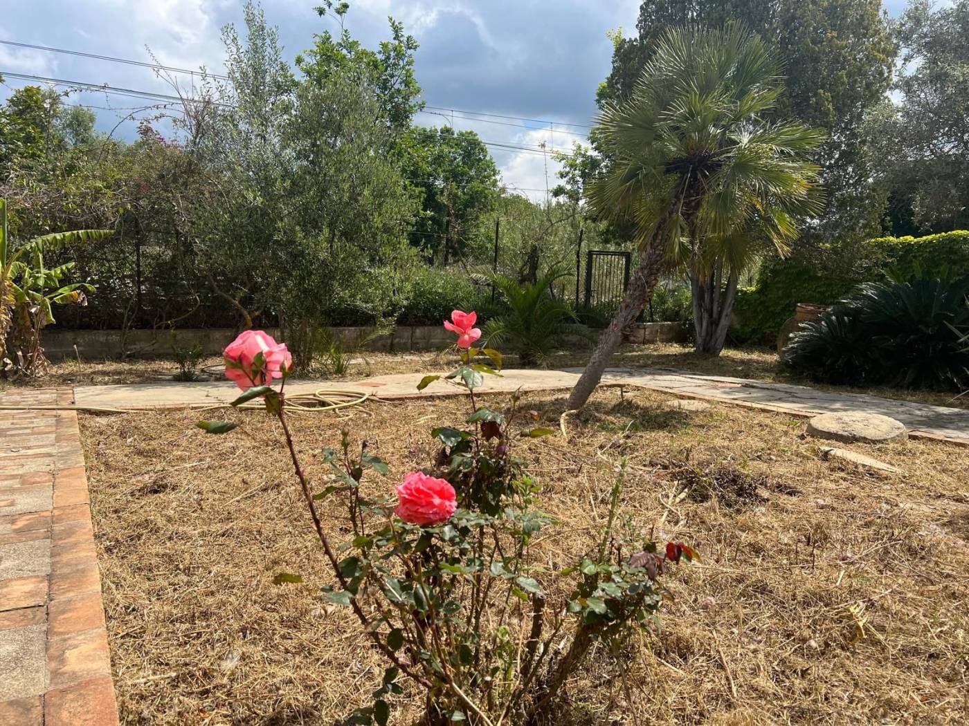 Terreno