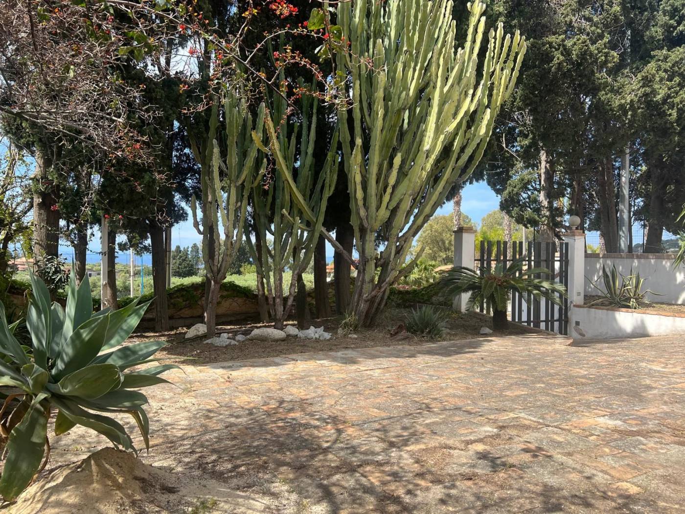 Giardino