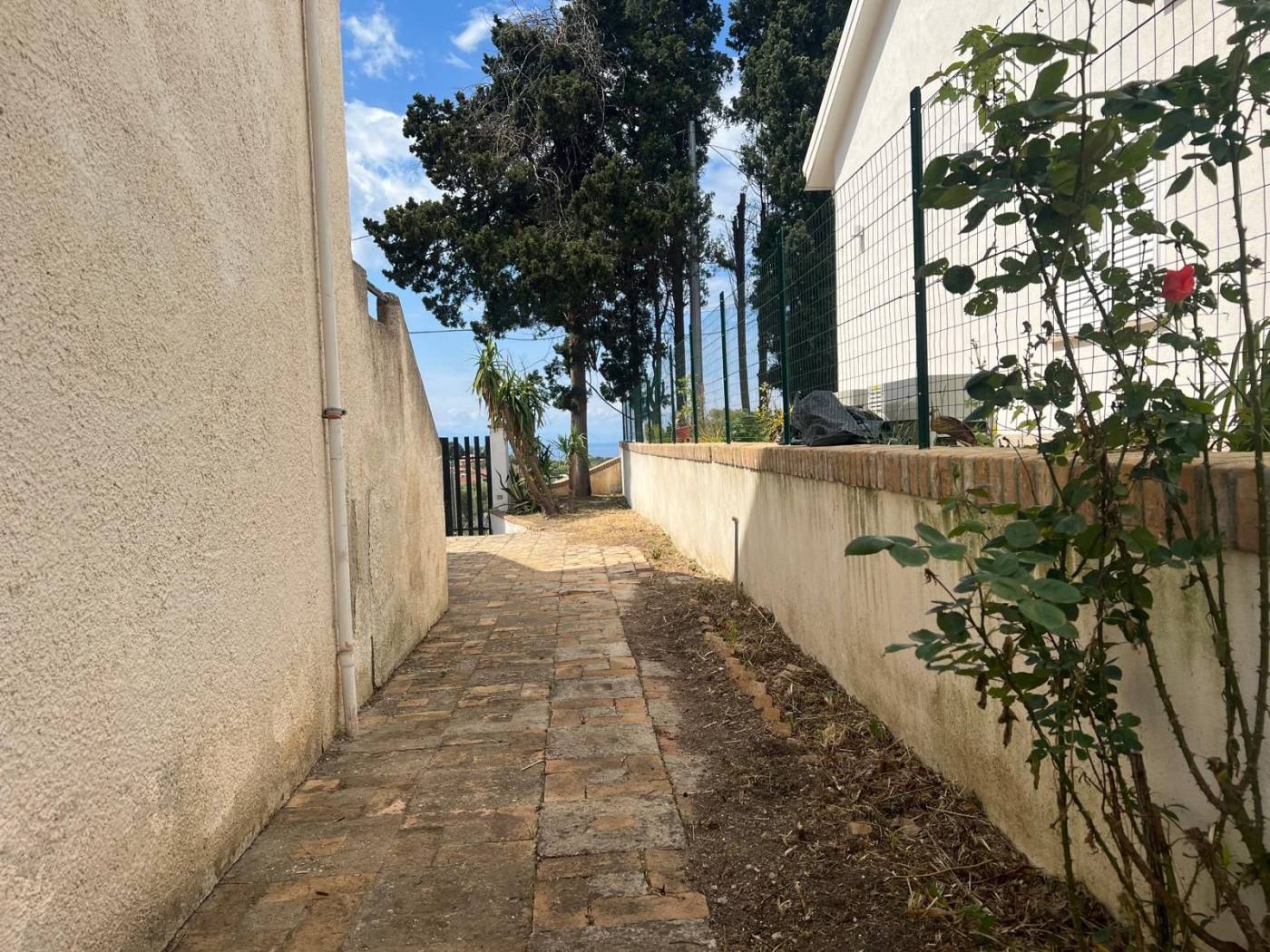Giardino