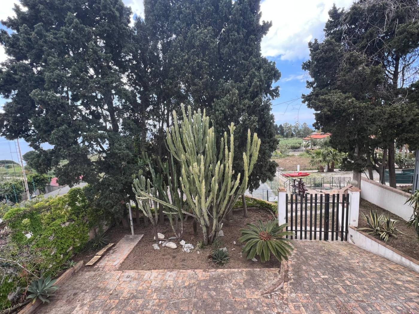 Giardino