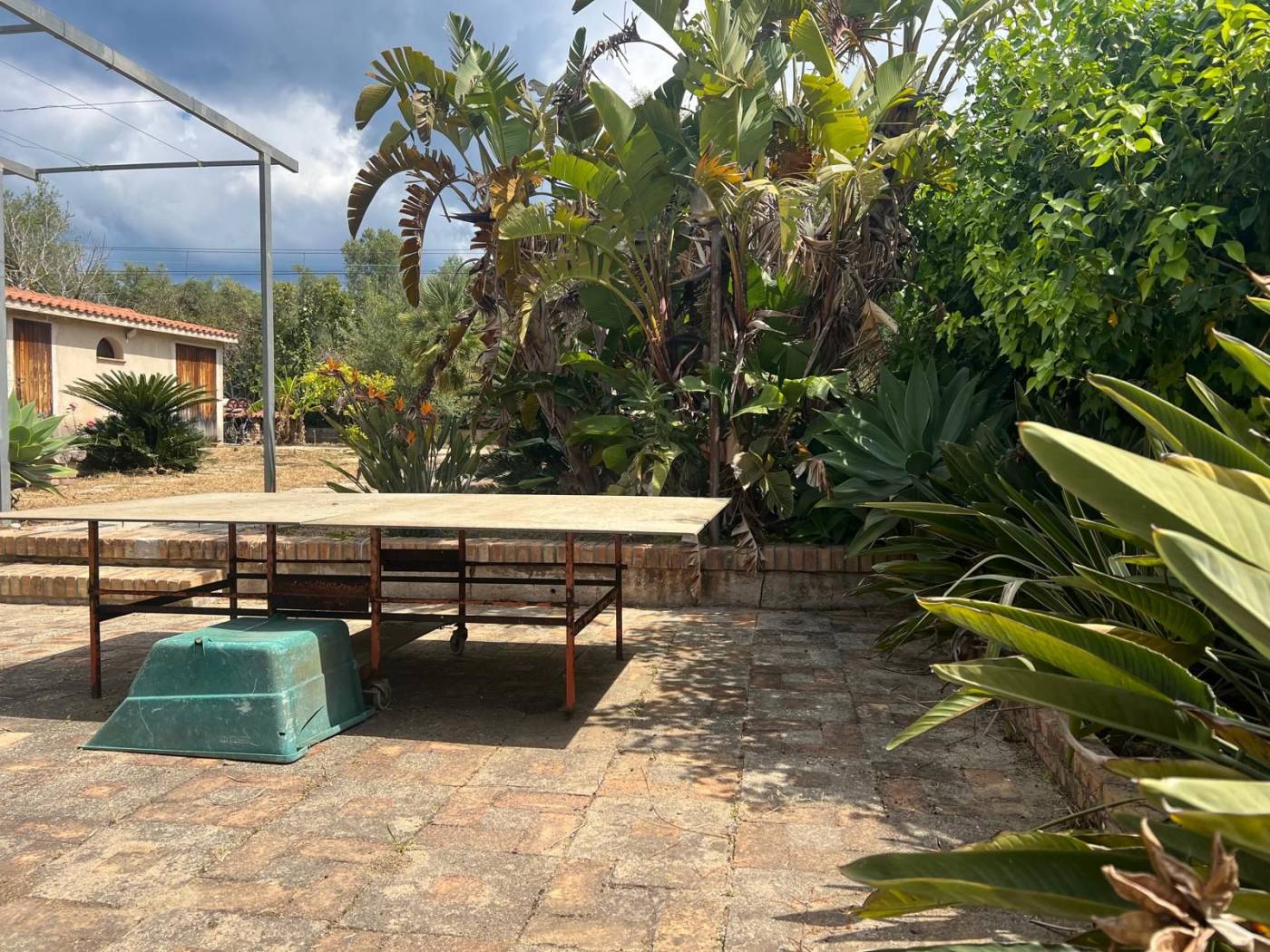 Giardino