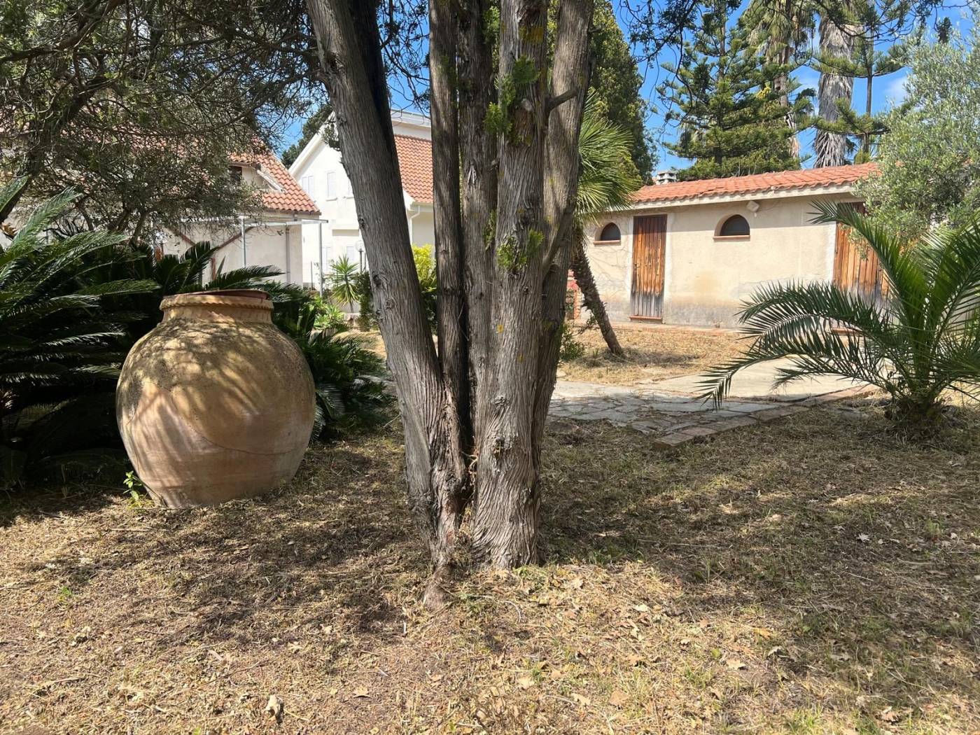 Giardino