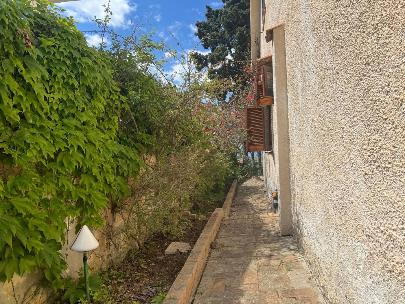 Giardino
