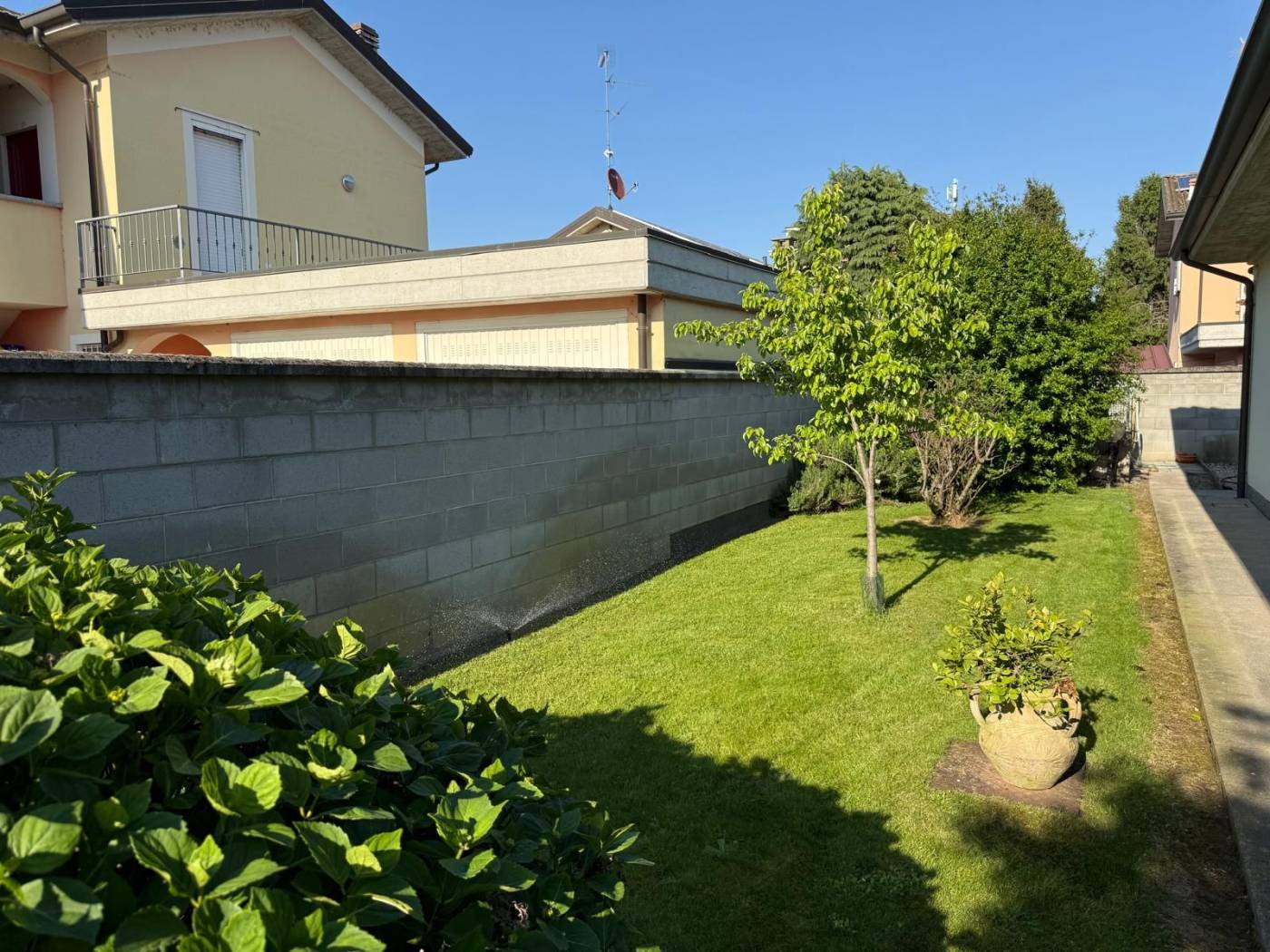 Giardino