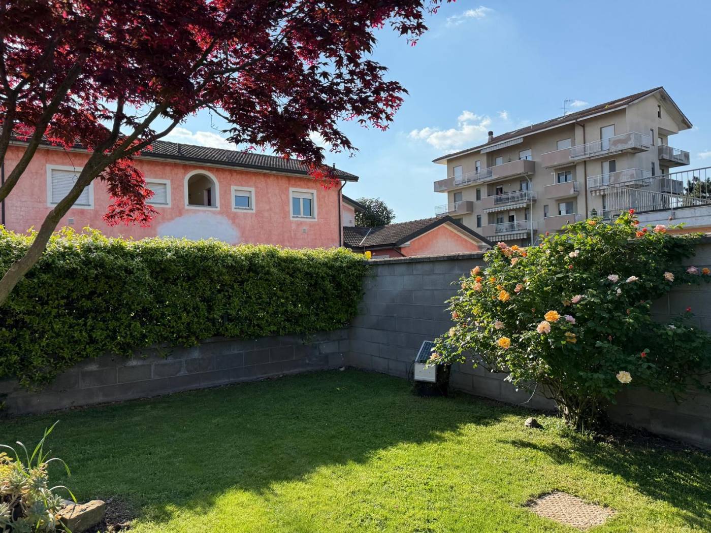 Giardino