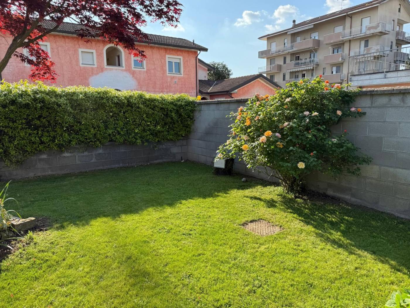 Giardino