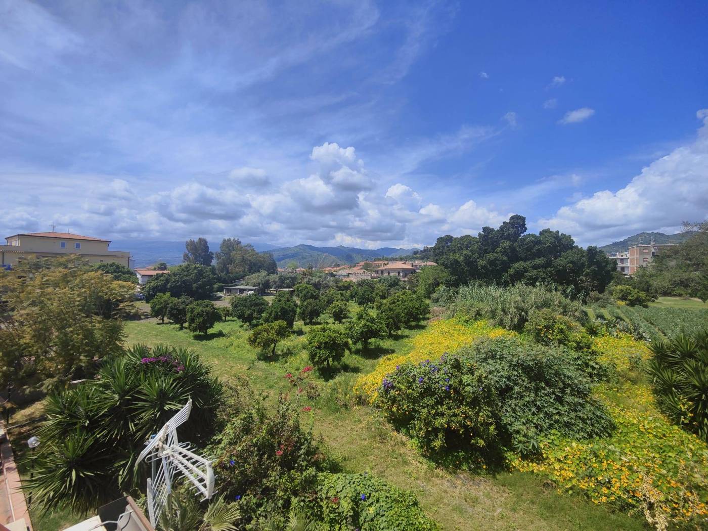 Vista