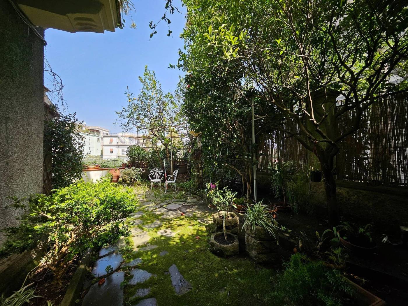 Giardino