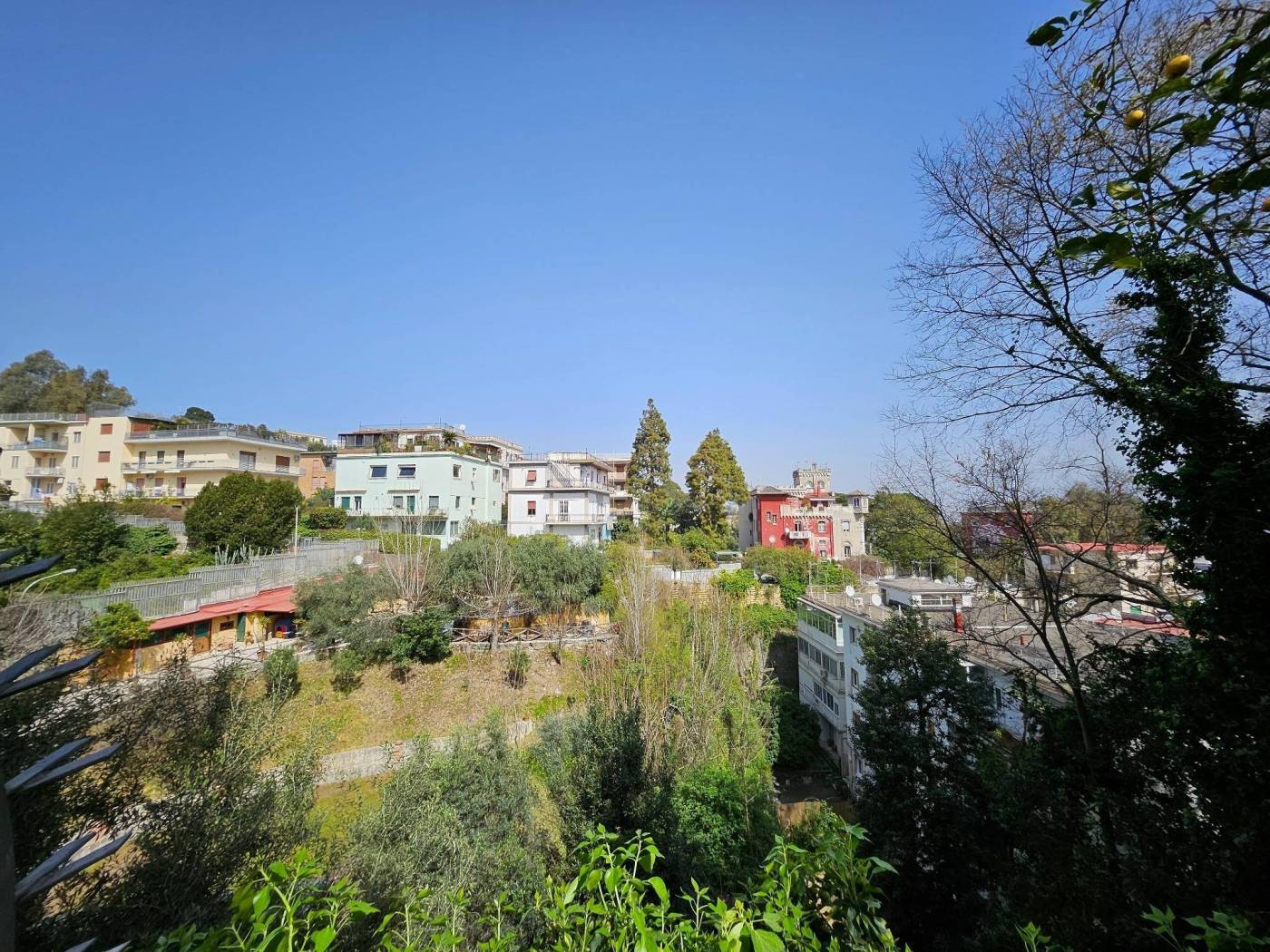 Vista