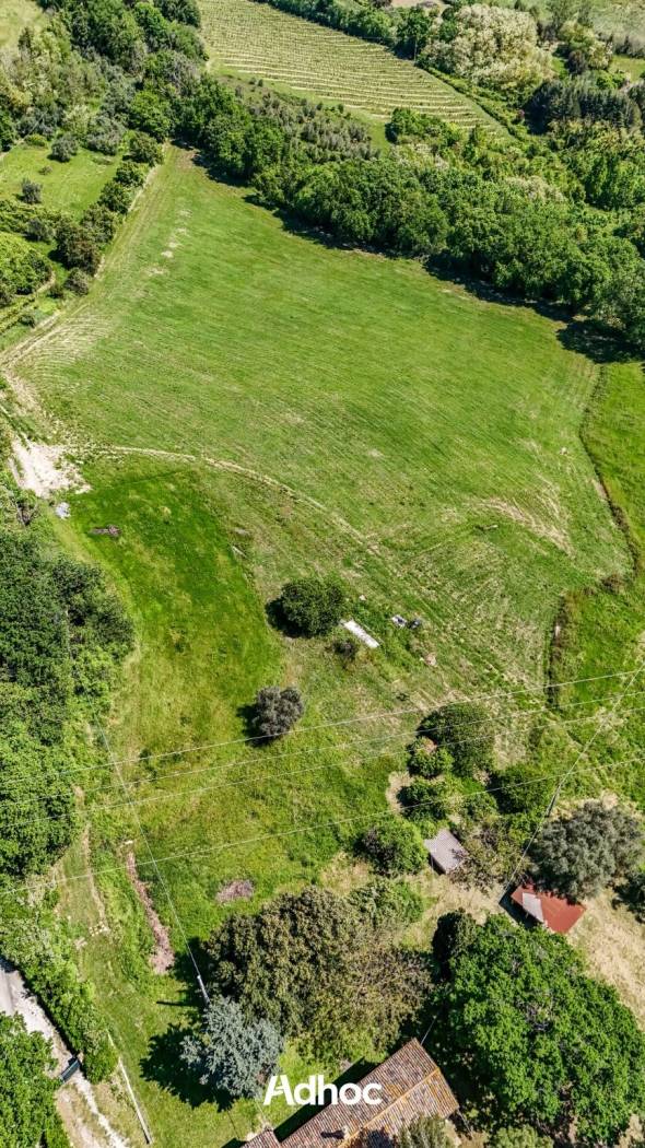Terreno