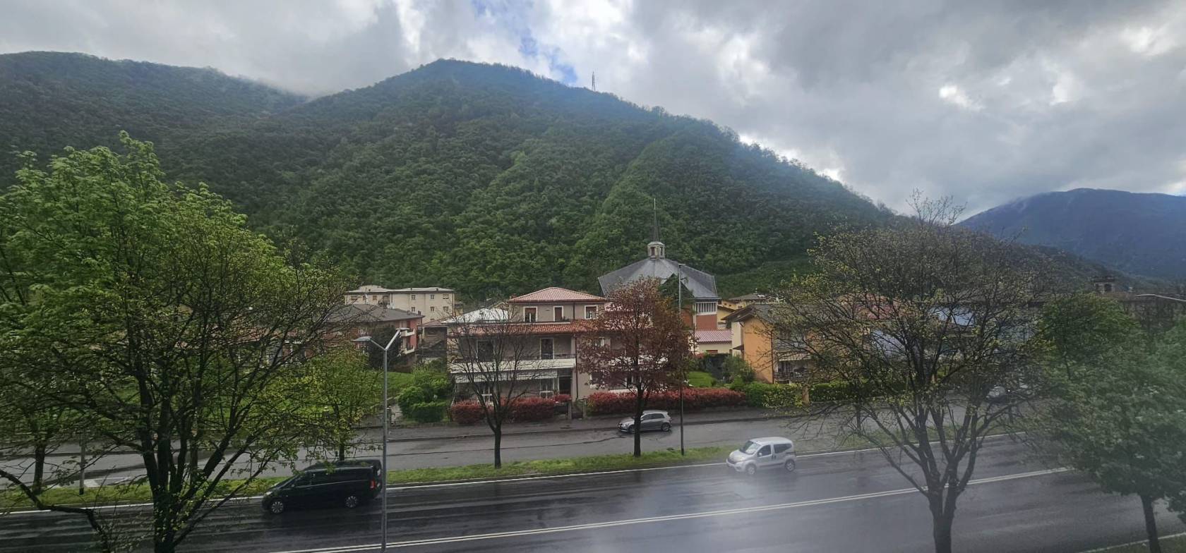 Vista