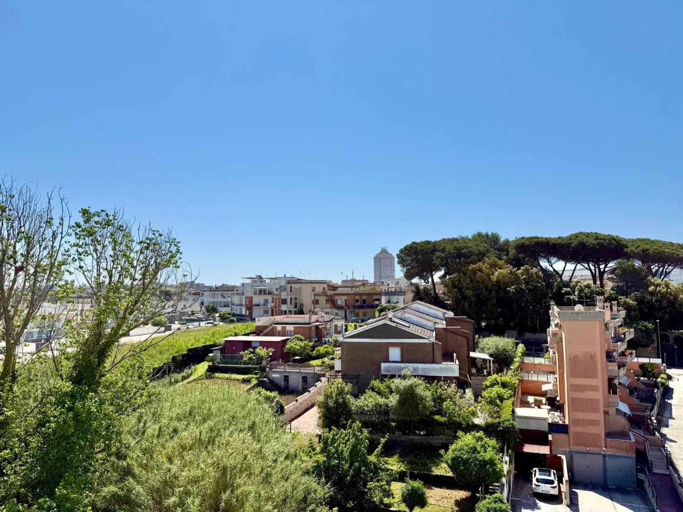 Vista
