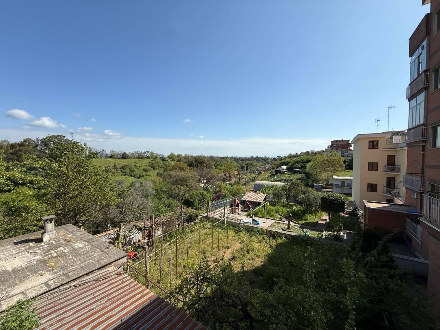 Vista