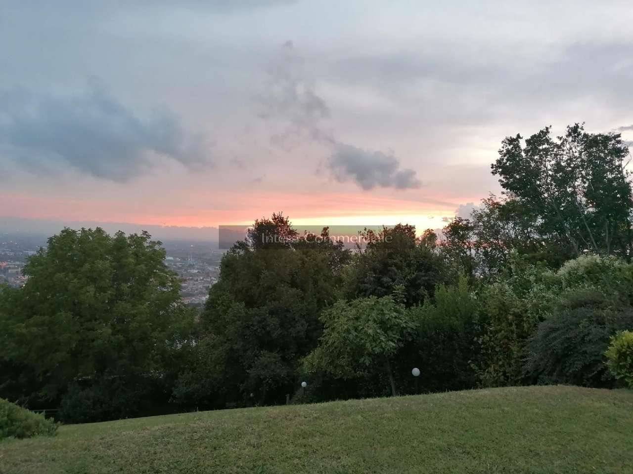 Vista