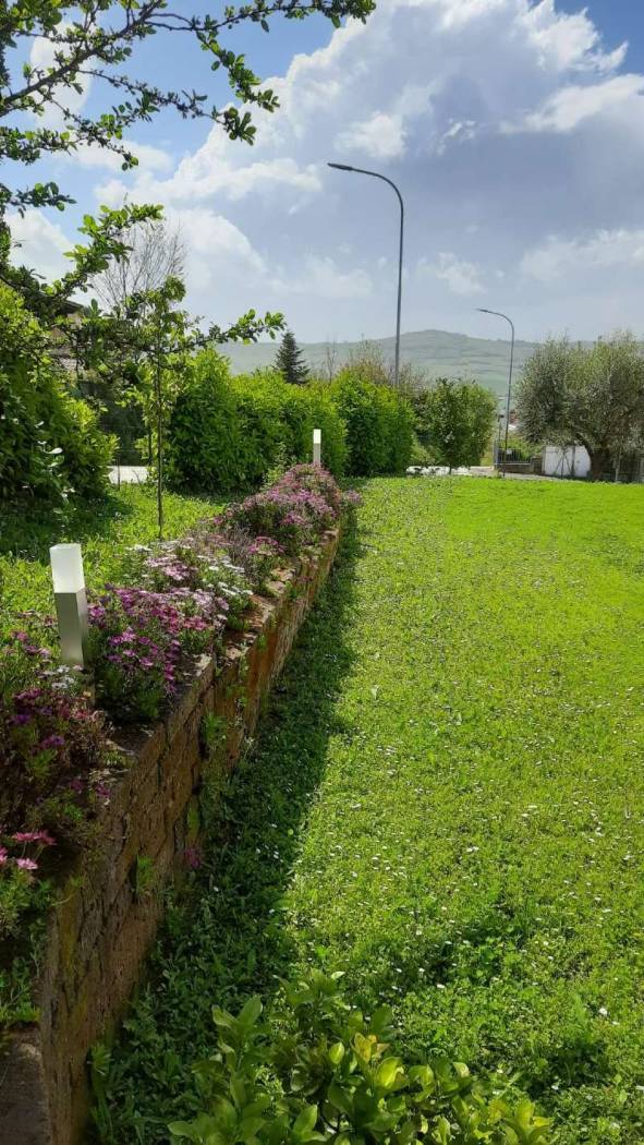 Terreno