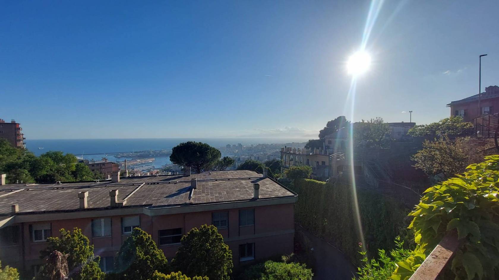 Vista