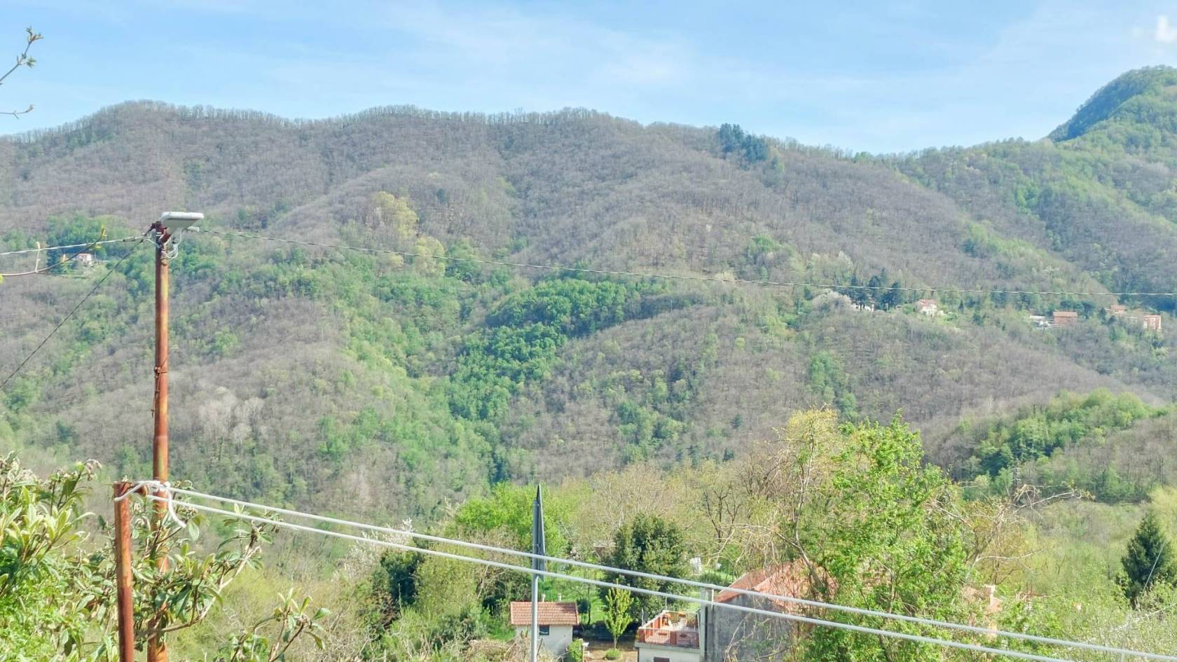 Vista