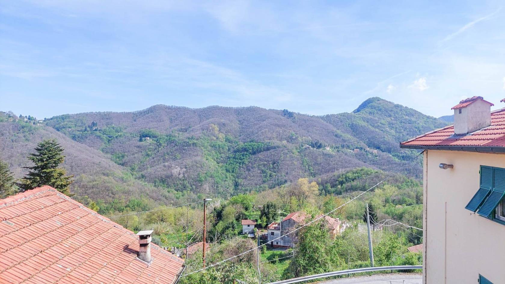 Vista