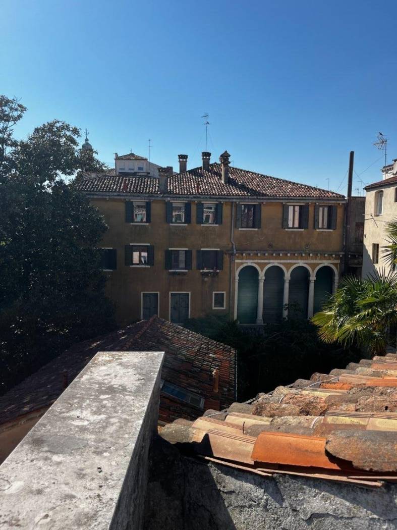 Vista