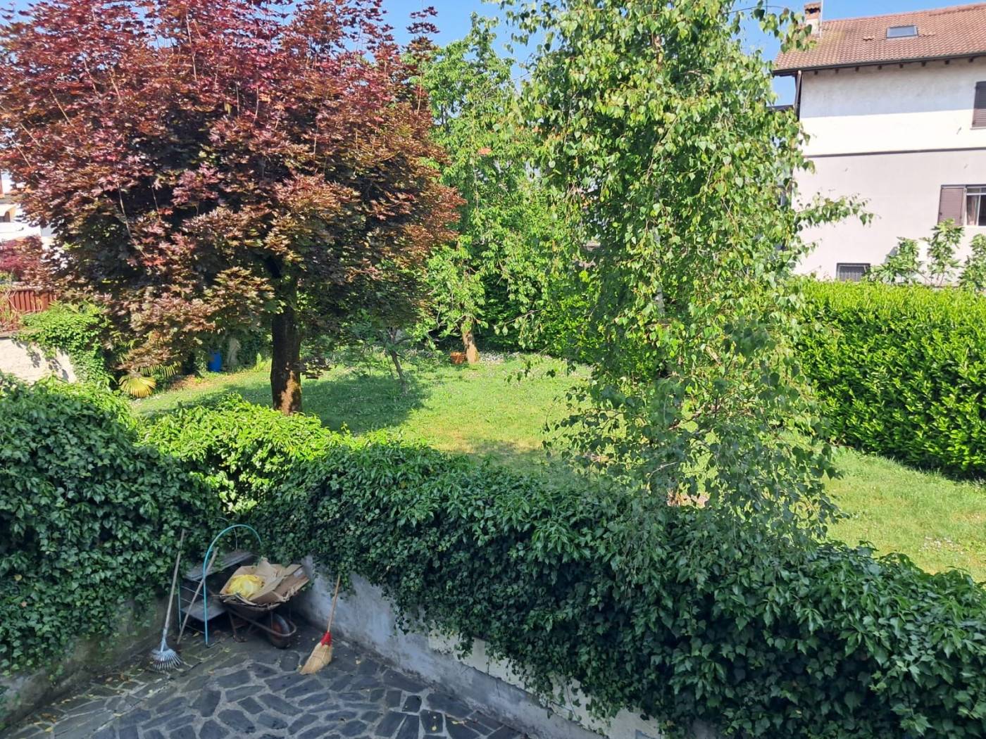 Giardino