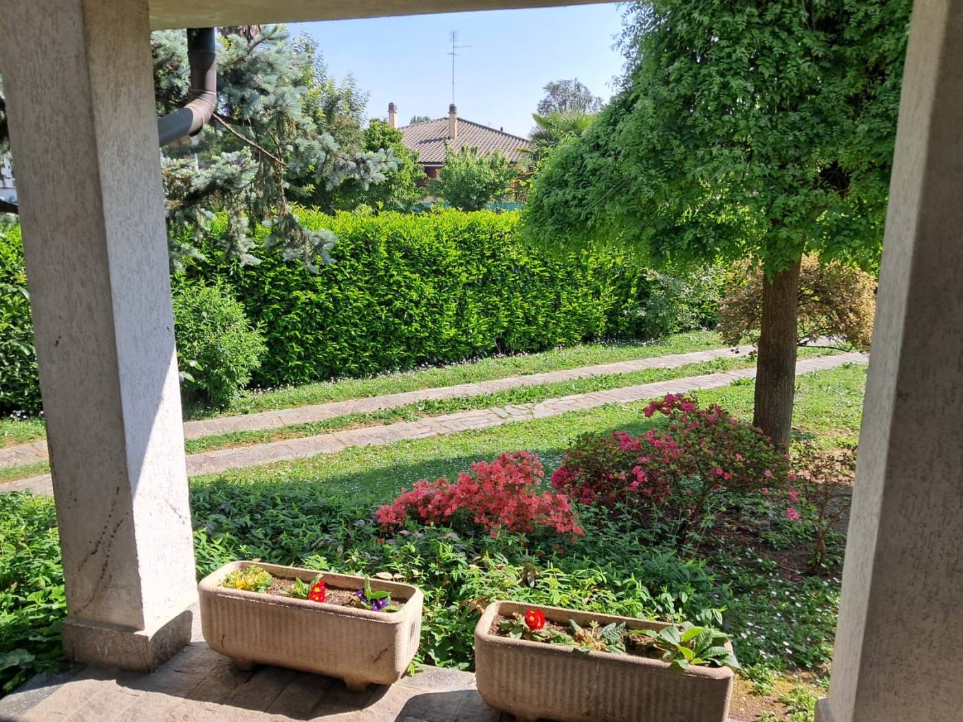 Giardino