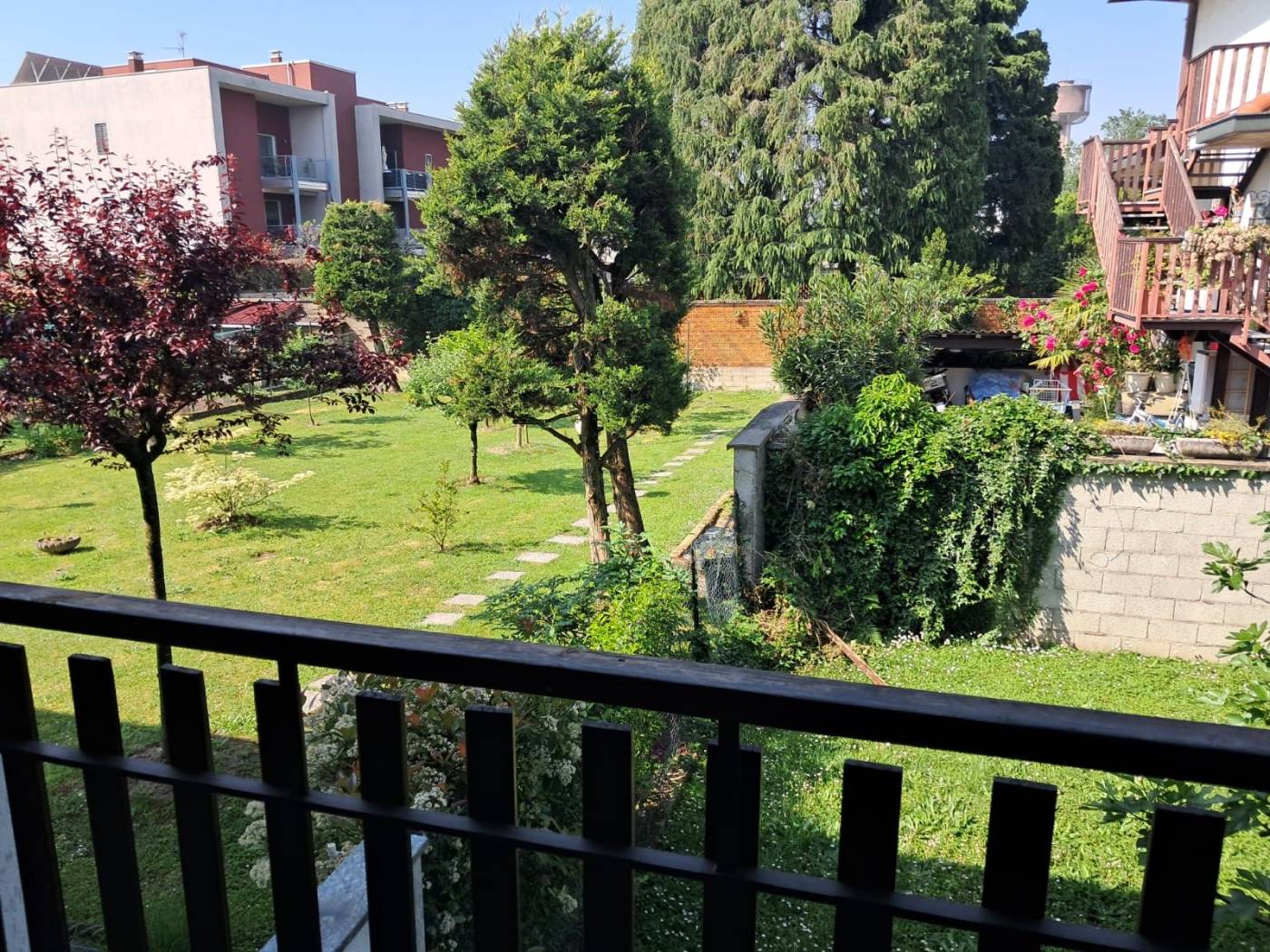 Vista