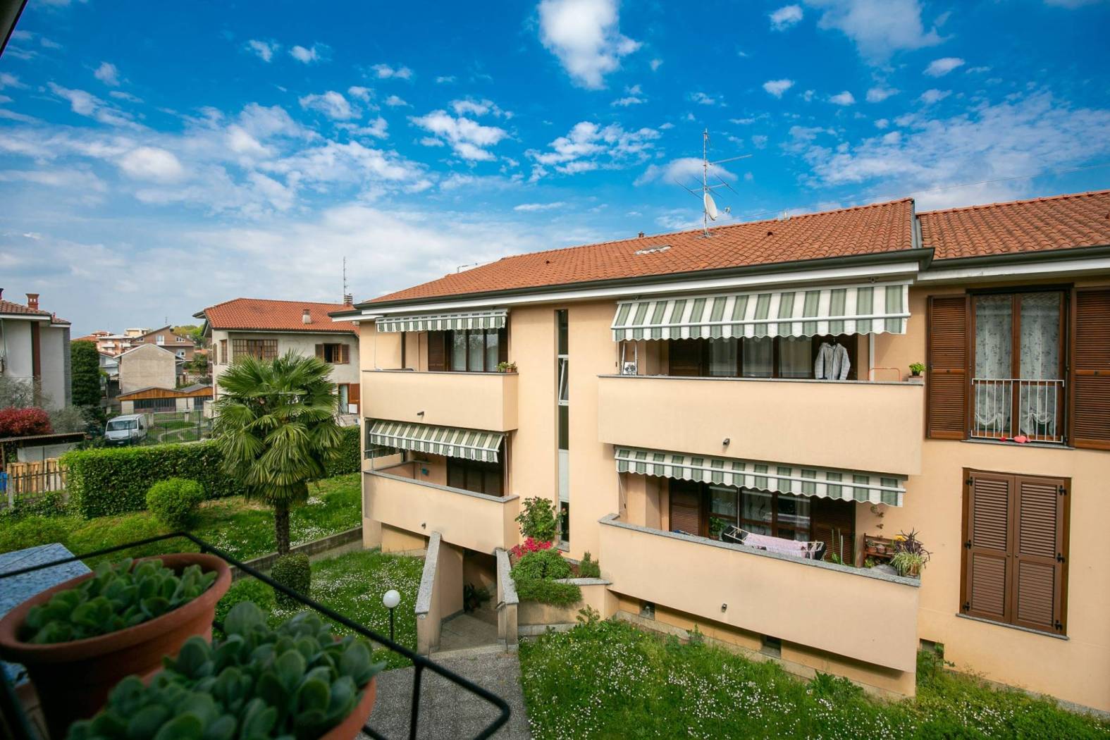 Vista