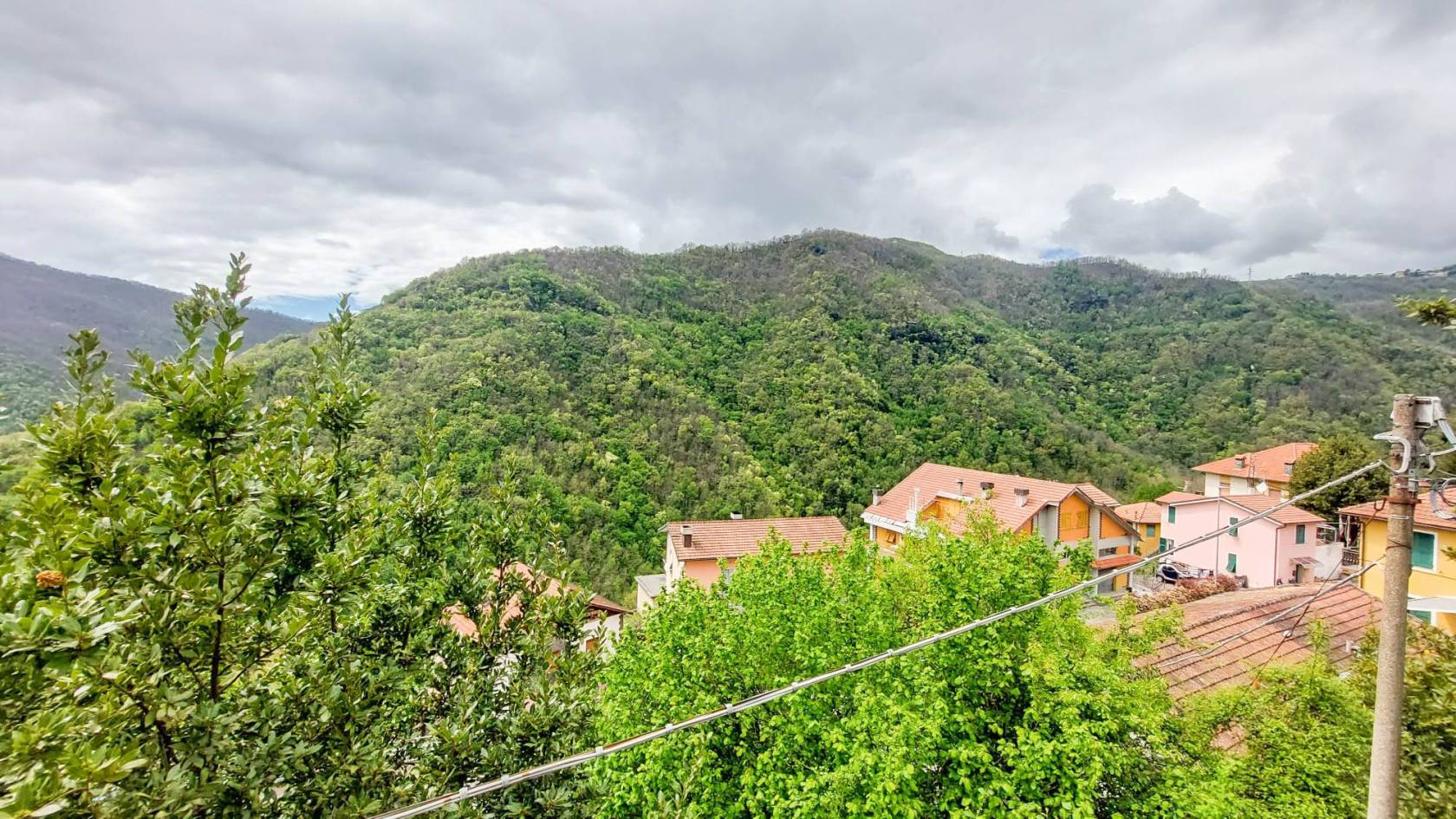Vista