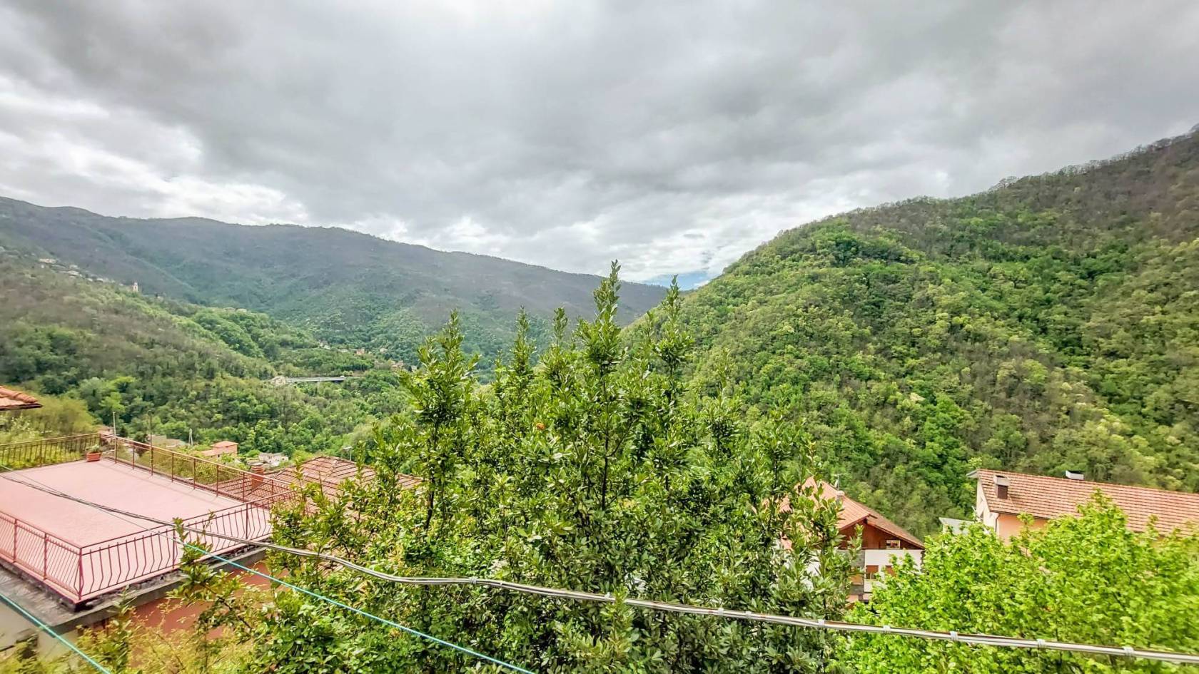 Vista