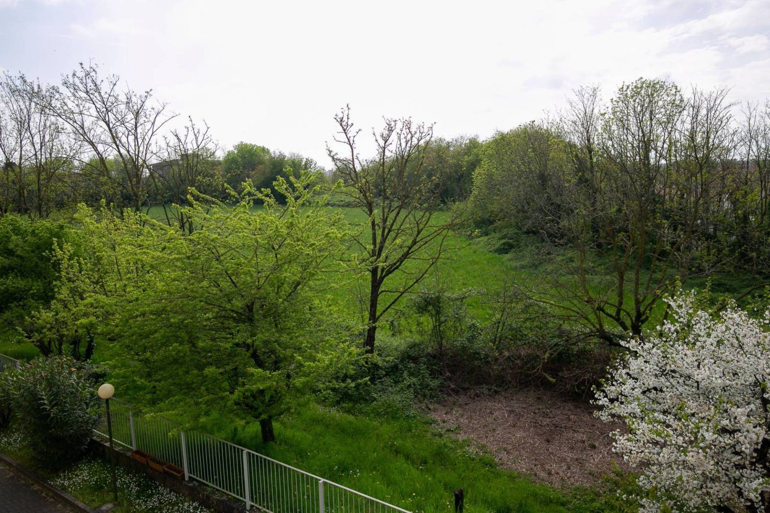 Vista