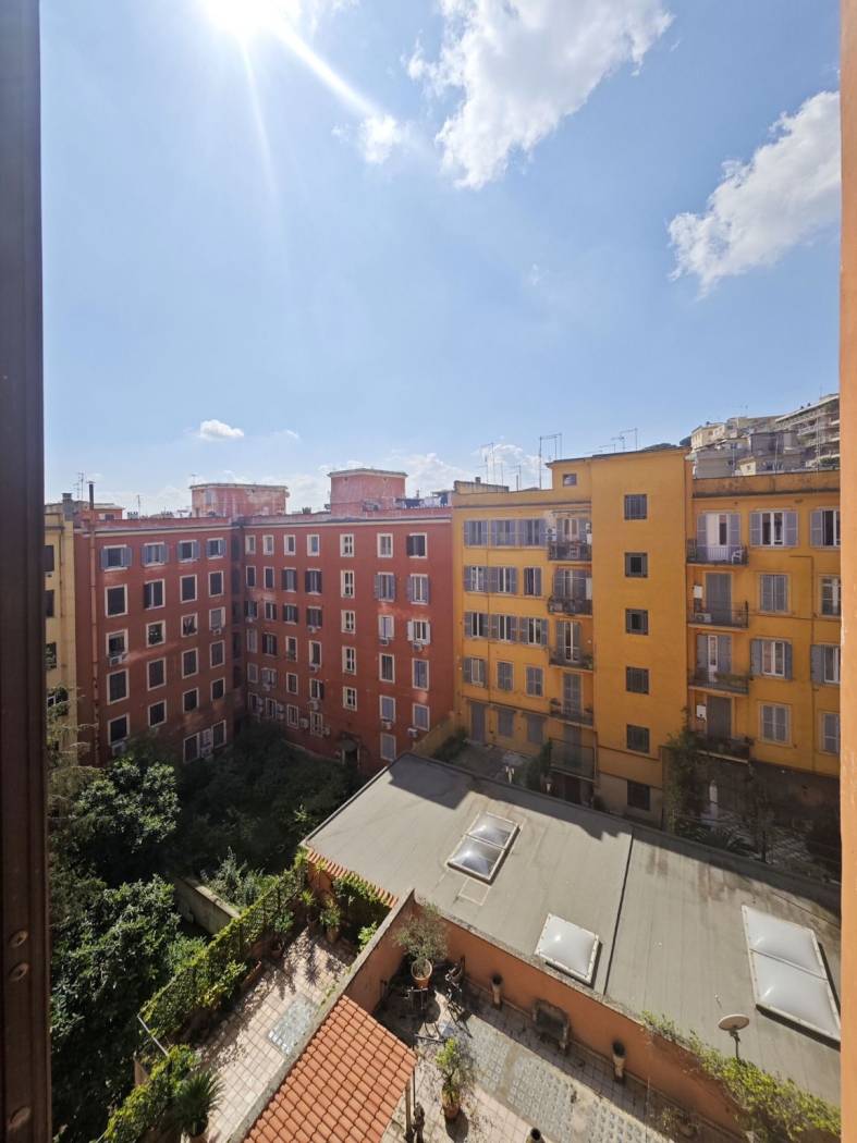 Vista