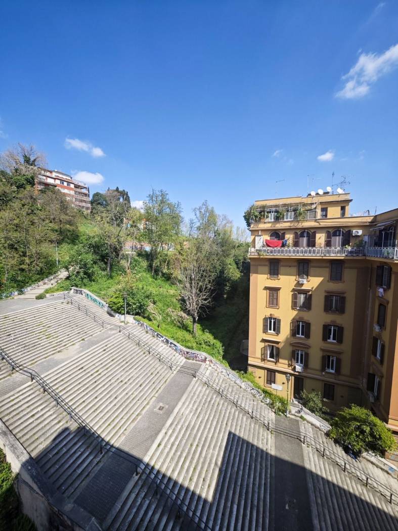 Vista