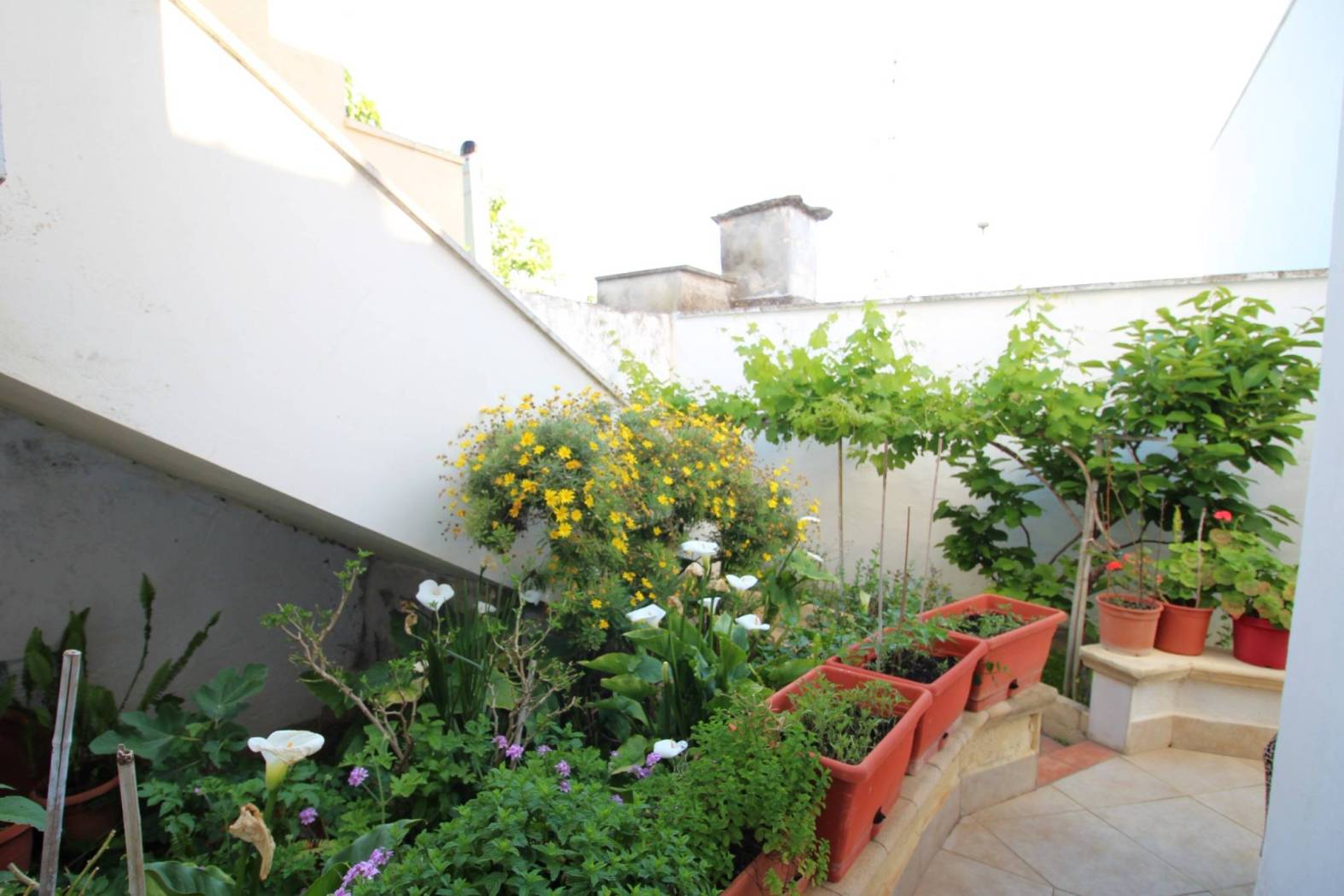 Giardino Giardino