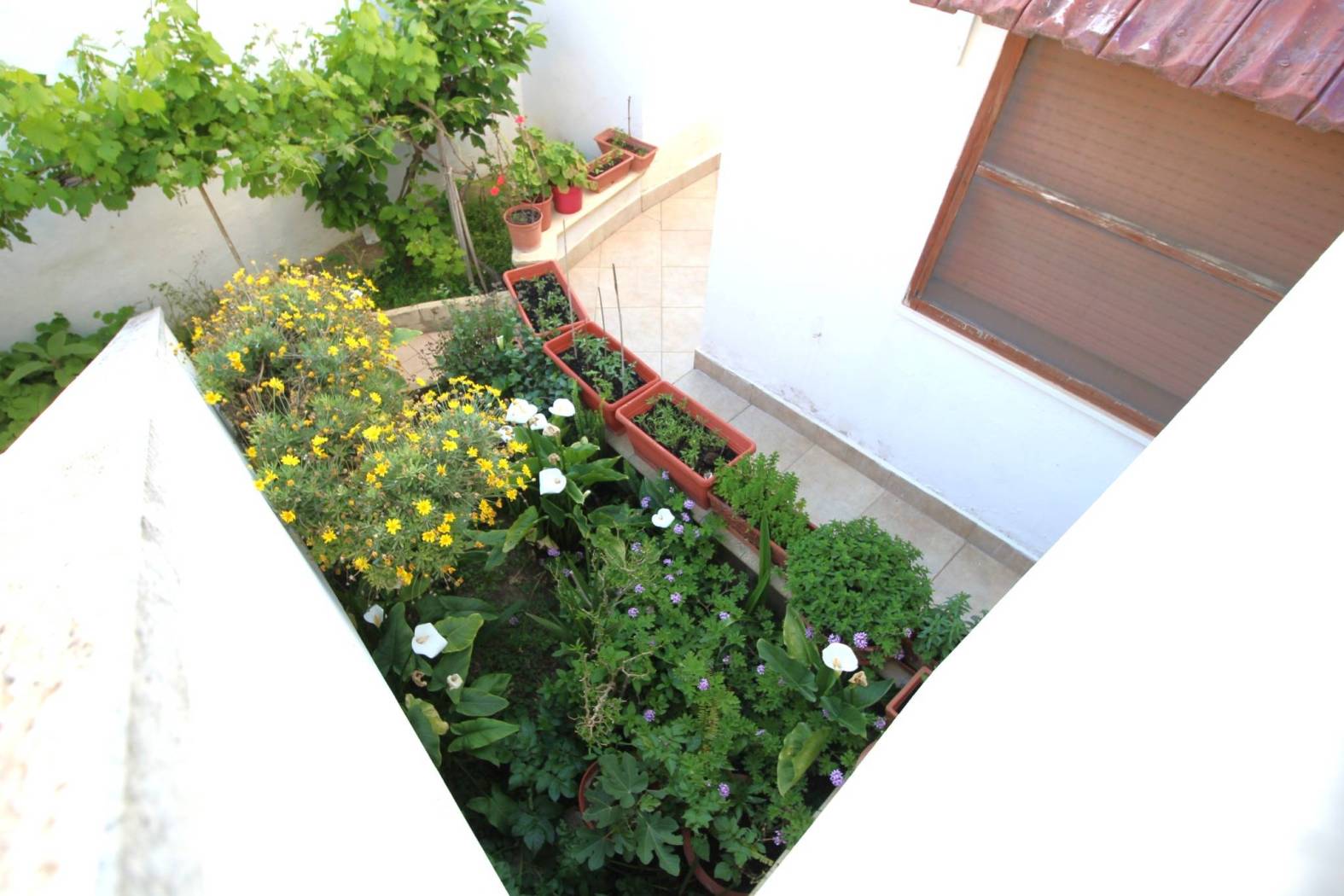 Balcone Balcone