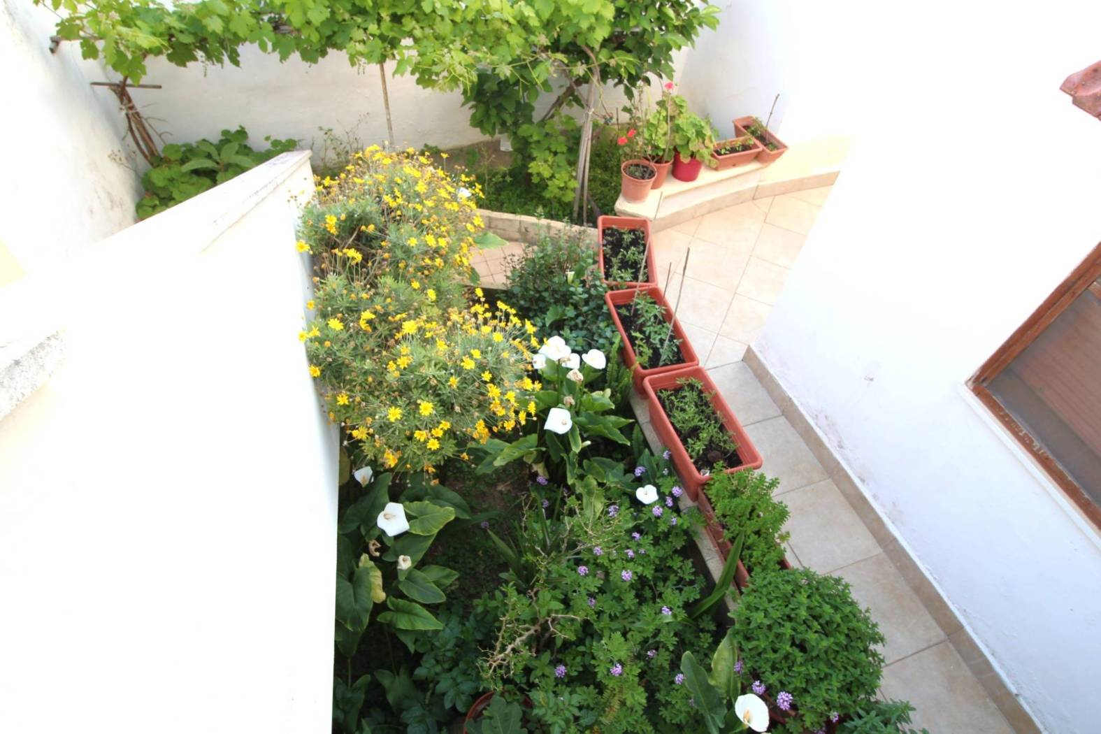 Giardino Giardino
