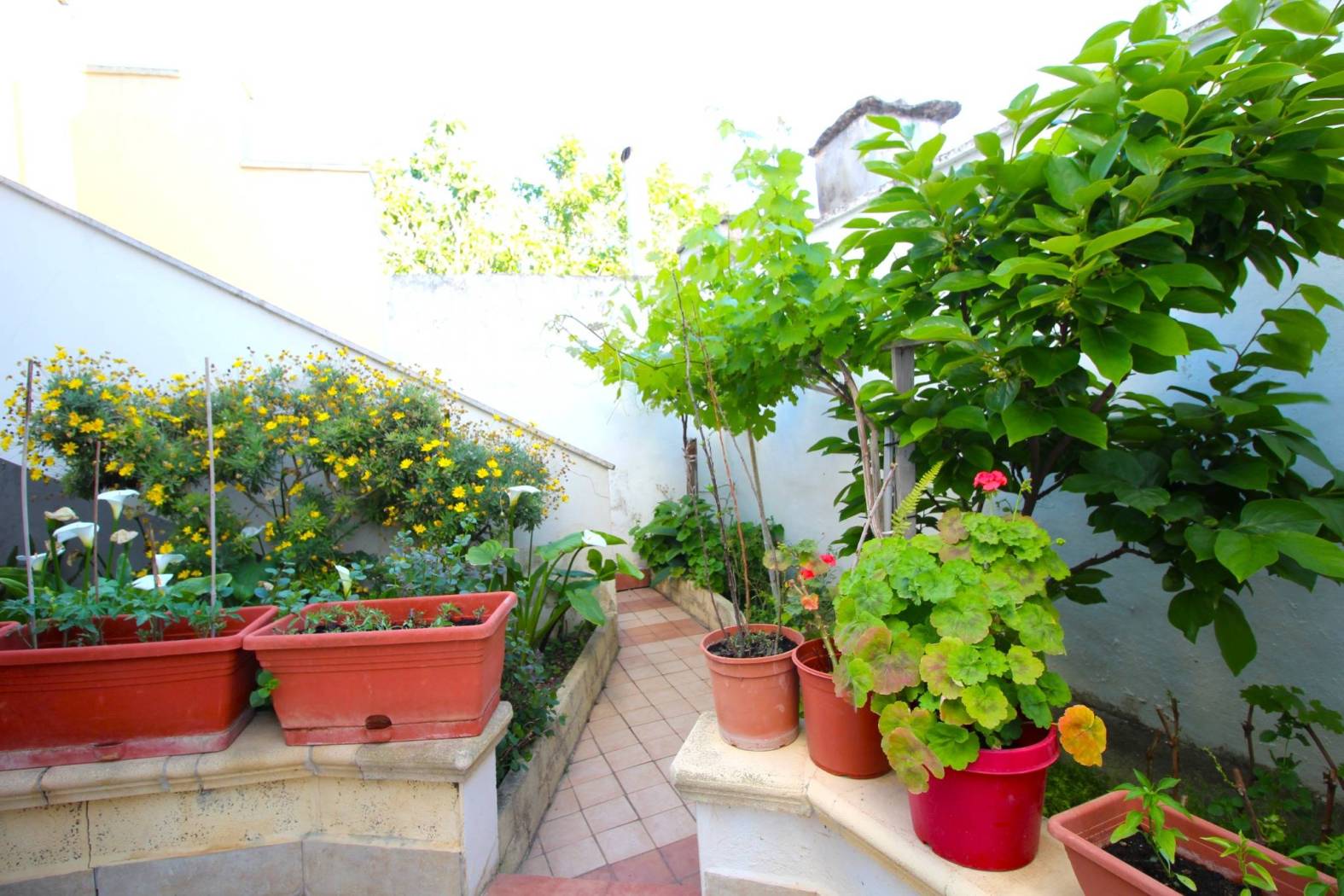 Giardino Giardino
