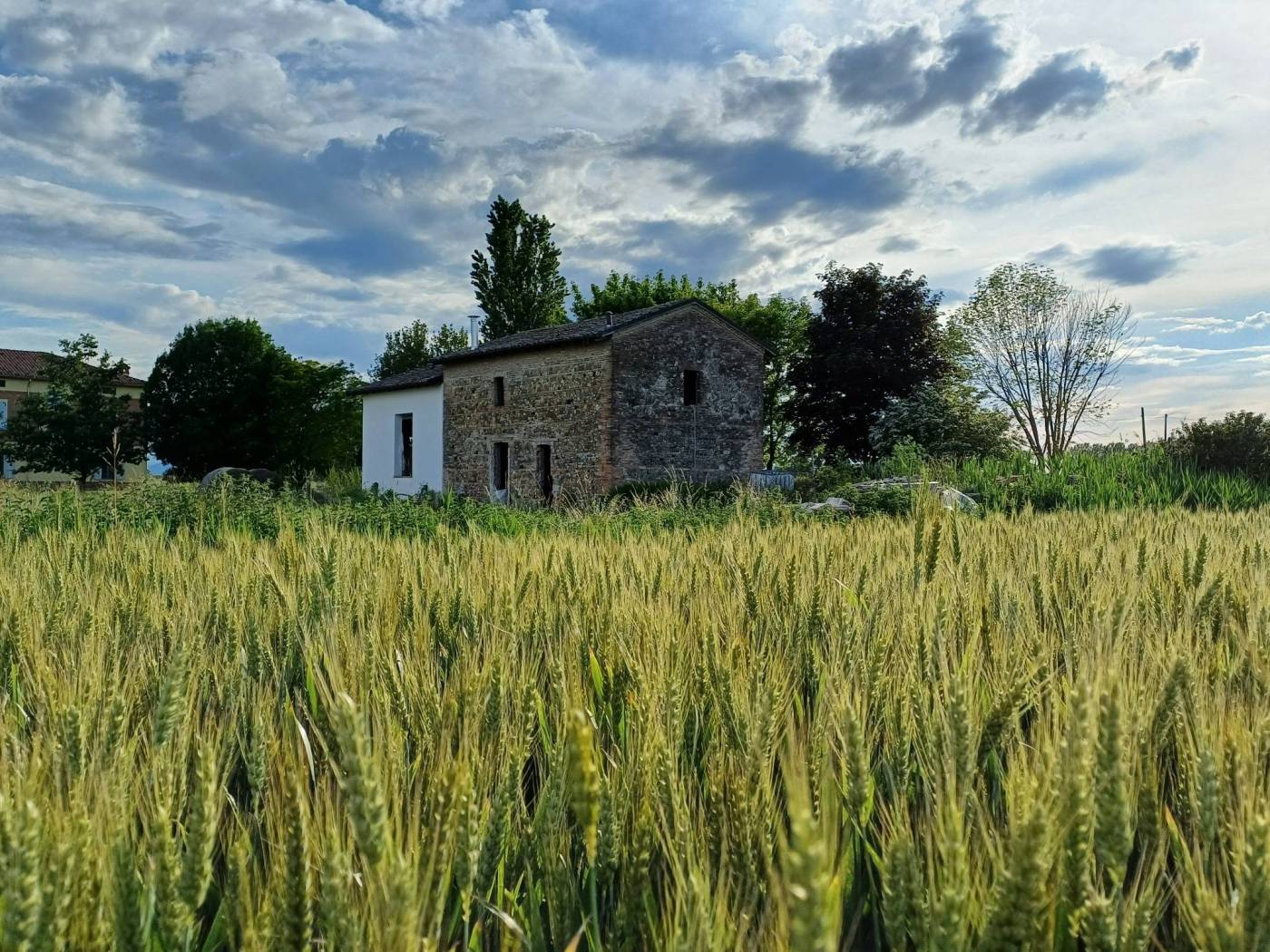 Terreno
