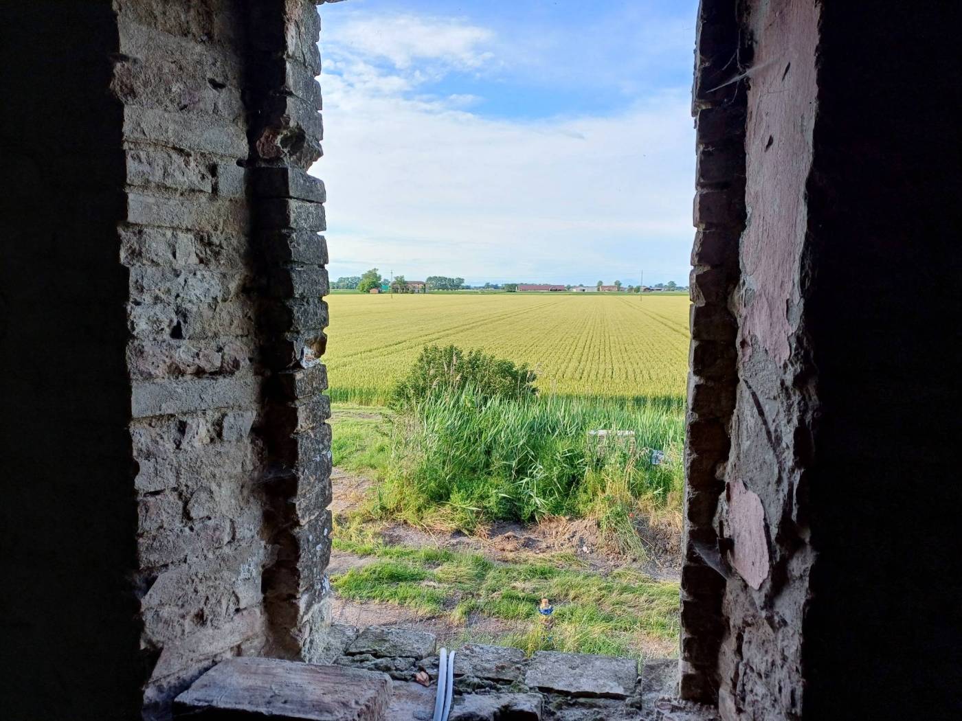 Vista