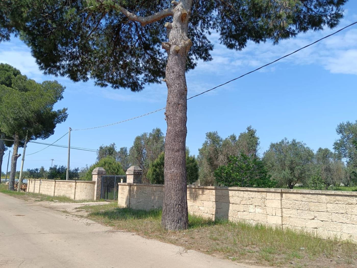 Facciata