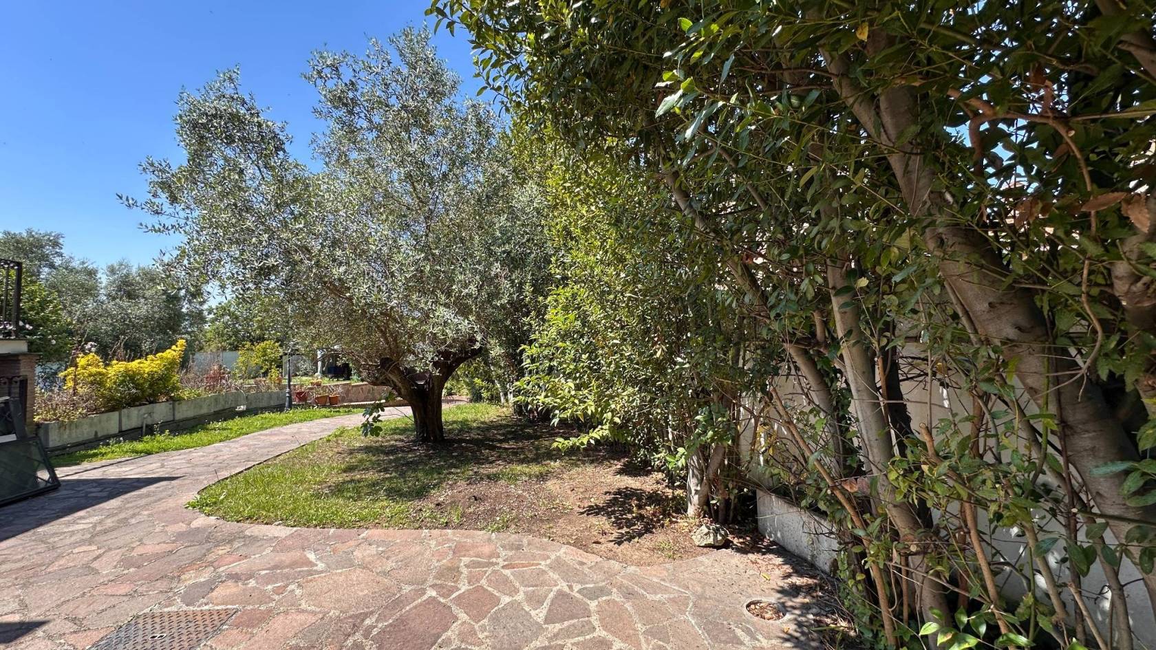 Giardino