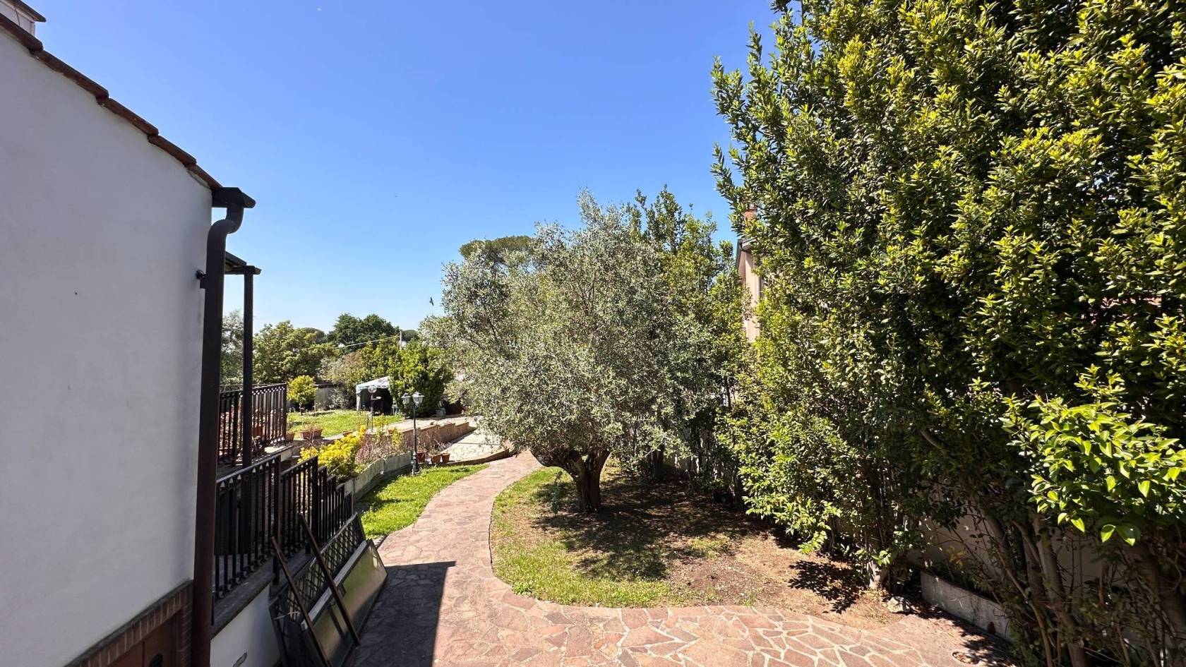 Giardino