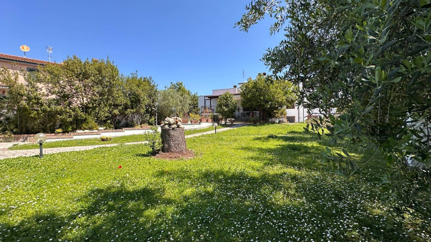 Giardino