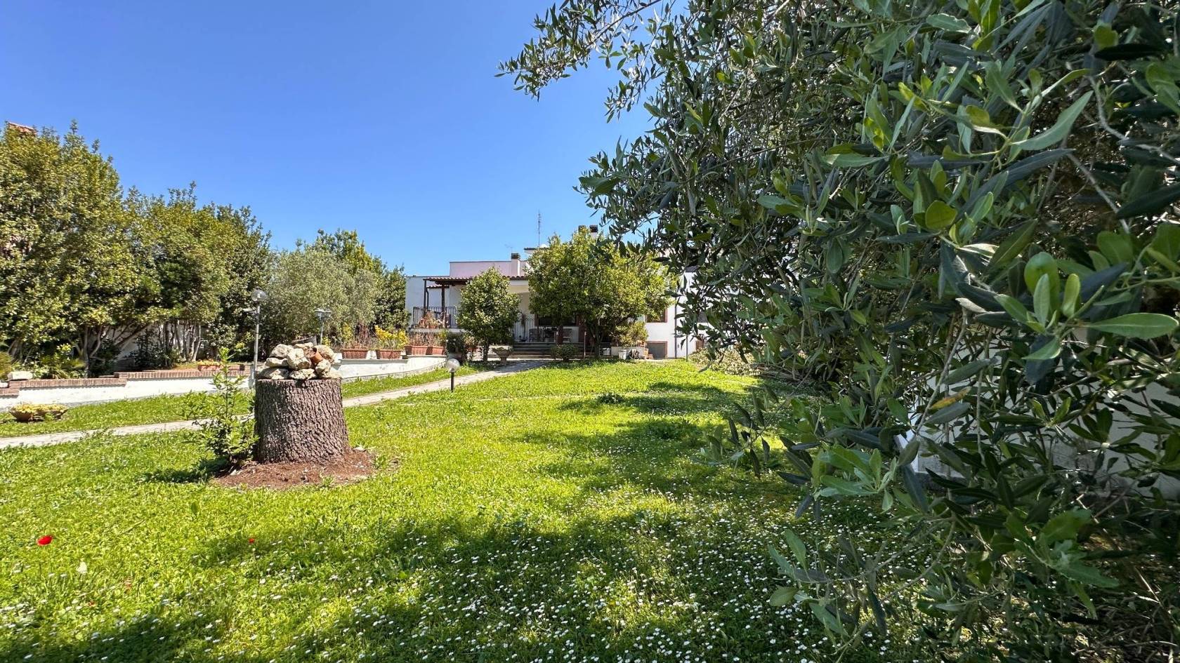 Giardino